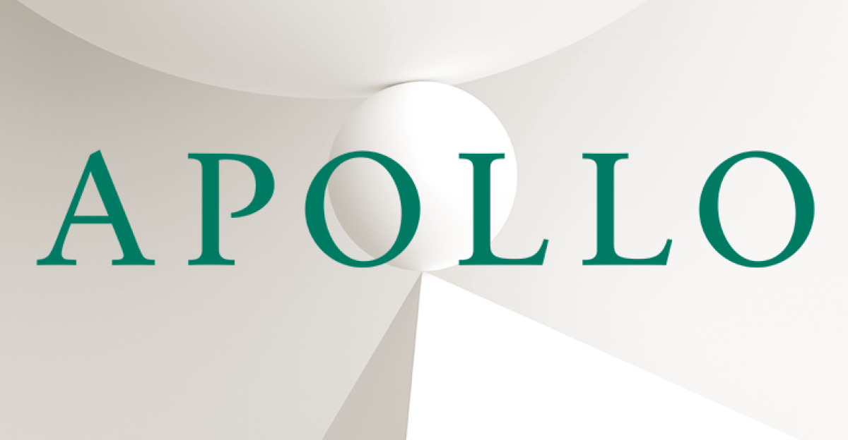 Capital Solutions by Nellie Stavisky