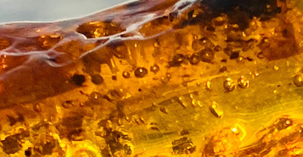 Raw amber with fossil inclusions and 1000 bubbles ,Vintage raw Amber ,Unique Green Amber, Amber with fossil moss , Natural Baltic Amber ston by EtsyUK