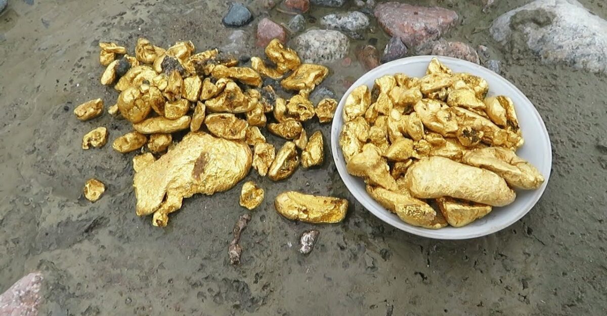 Gold rush Mud streams freed big pieces of gold on this river right unde by Ron Russell