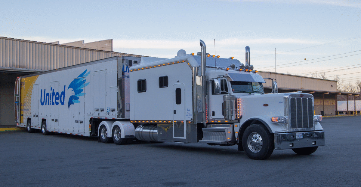 by Aleksandr Potalov