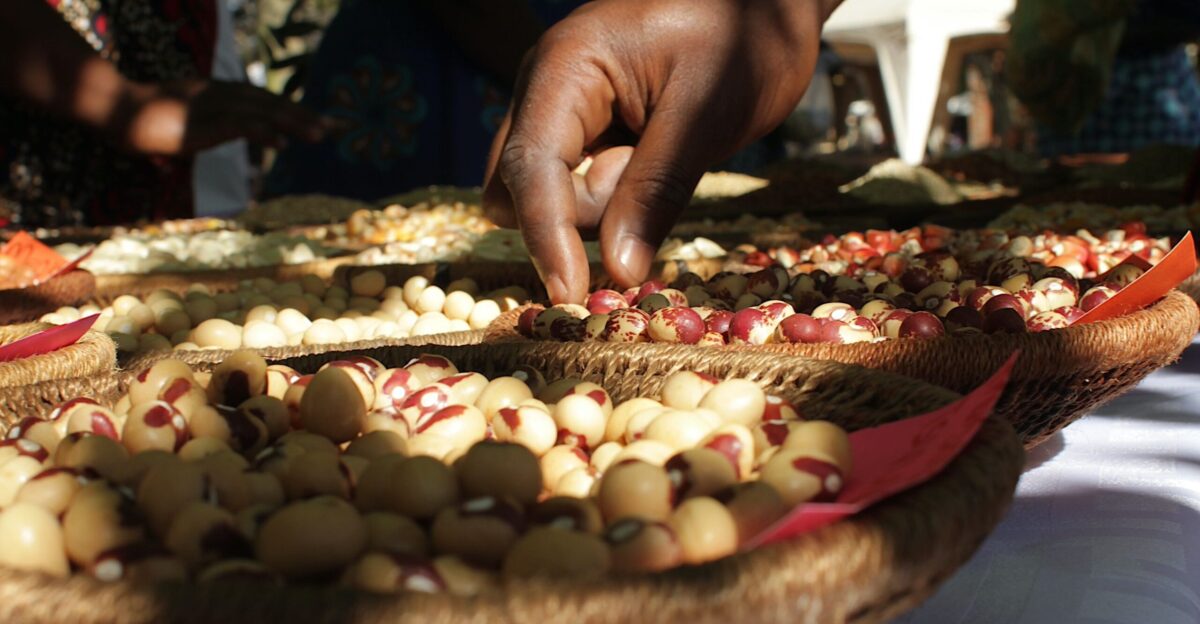 Food Sovereignty Archives - Agroecology Fund