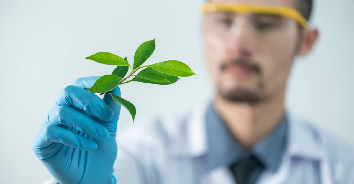 Young scientist wearing protective gloves and examining a plant sample in a laboratory setting
