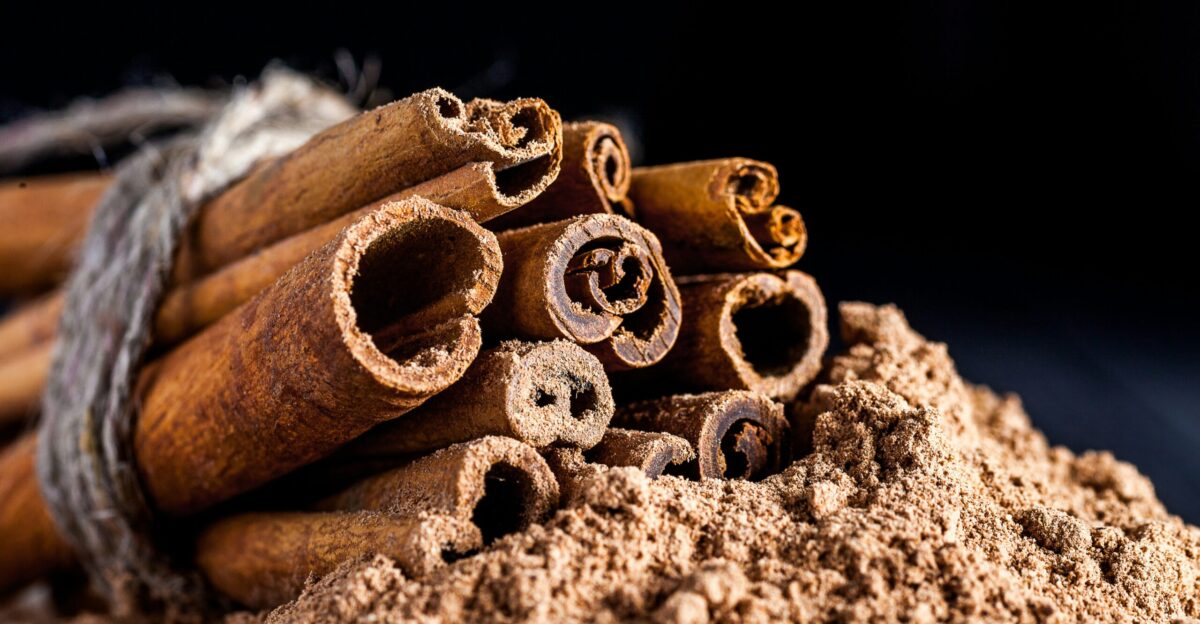 a snake with a number on it