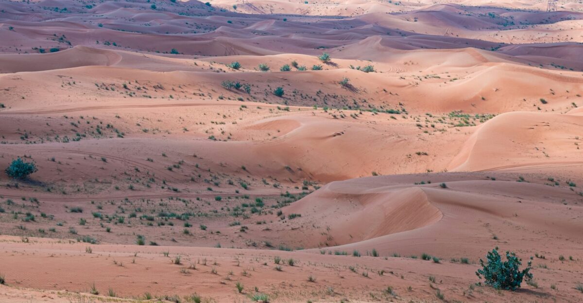 A view of a desert with a mountain in the background