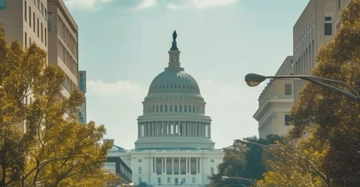 Activism and Change by Sarah Marie schmidt