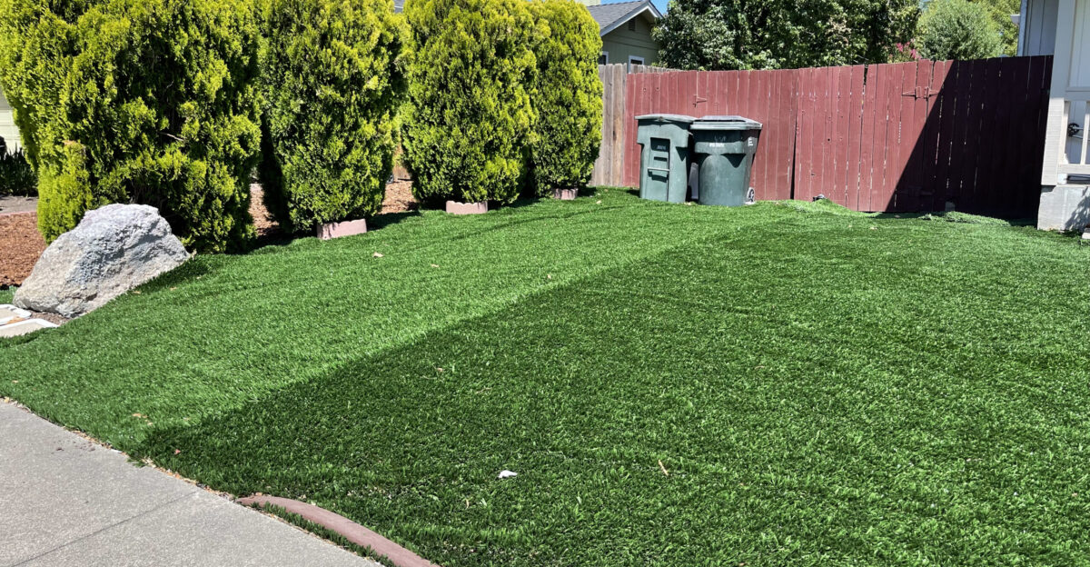Artificial turf yard in Sonoma California
