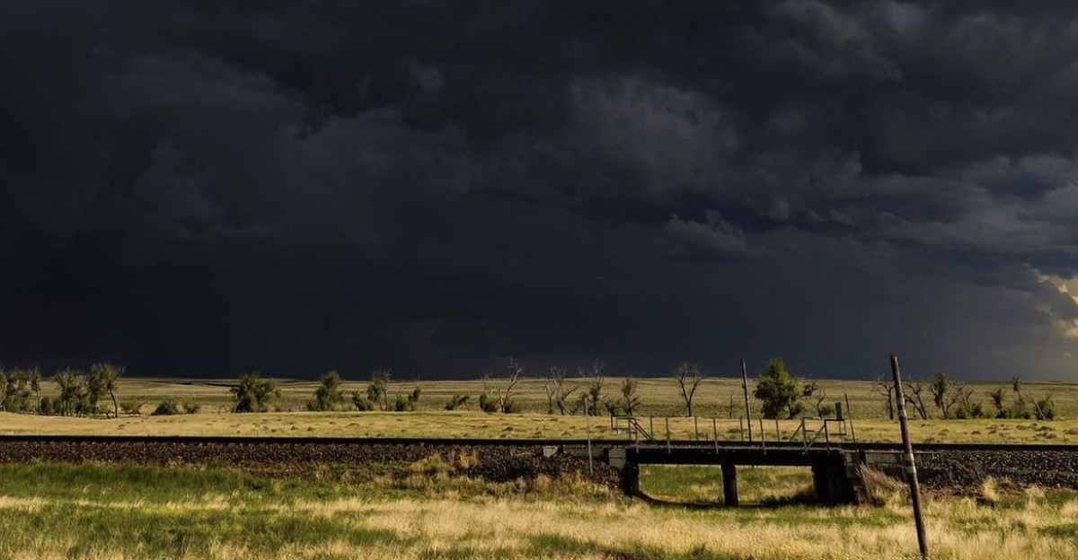 by Janelle Greenwood Hicks