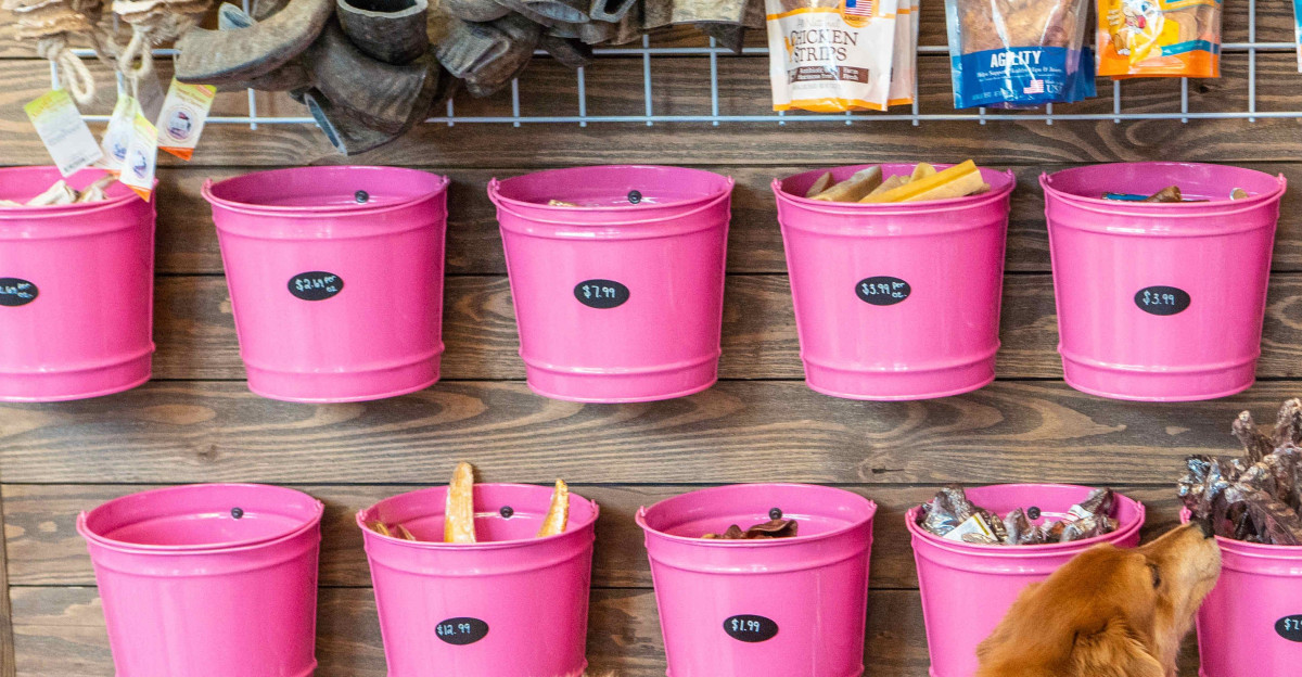 Woof Gang Bakery and Grooming Joins Downtown Avalon Park Wesley Chapel Avalon Park Group sitEX is excited to announce the newest addition to Downtown Avalon Park Wesley Chapel Woof Gang Bakery and Grooming More than just a pet store Woof Gang Bakery and Grooming is a loving community dedicated to the happiness and well-being of pets and their parents woofgangbakery avalonparkwesleychapel downtownavalonpark growyourbusiness supportlocal iloveavalonpark livelearnworkplay by Bettina Ang