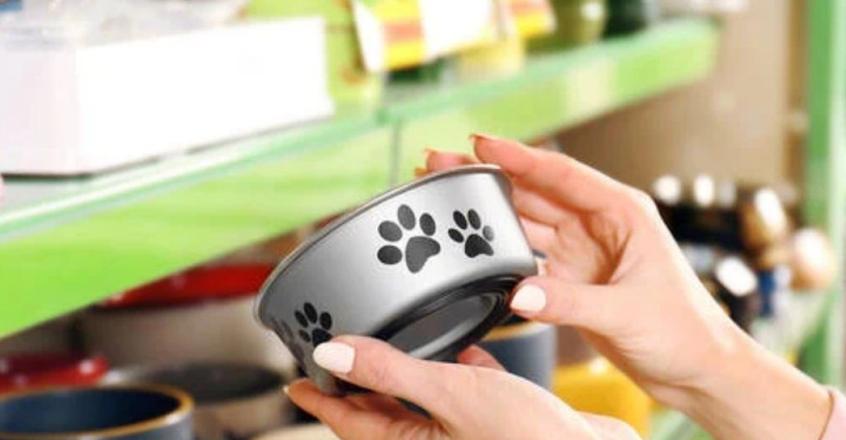 Profitable Pet Business ideas You Can Start With Little Money by Janine Engelbrecht