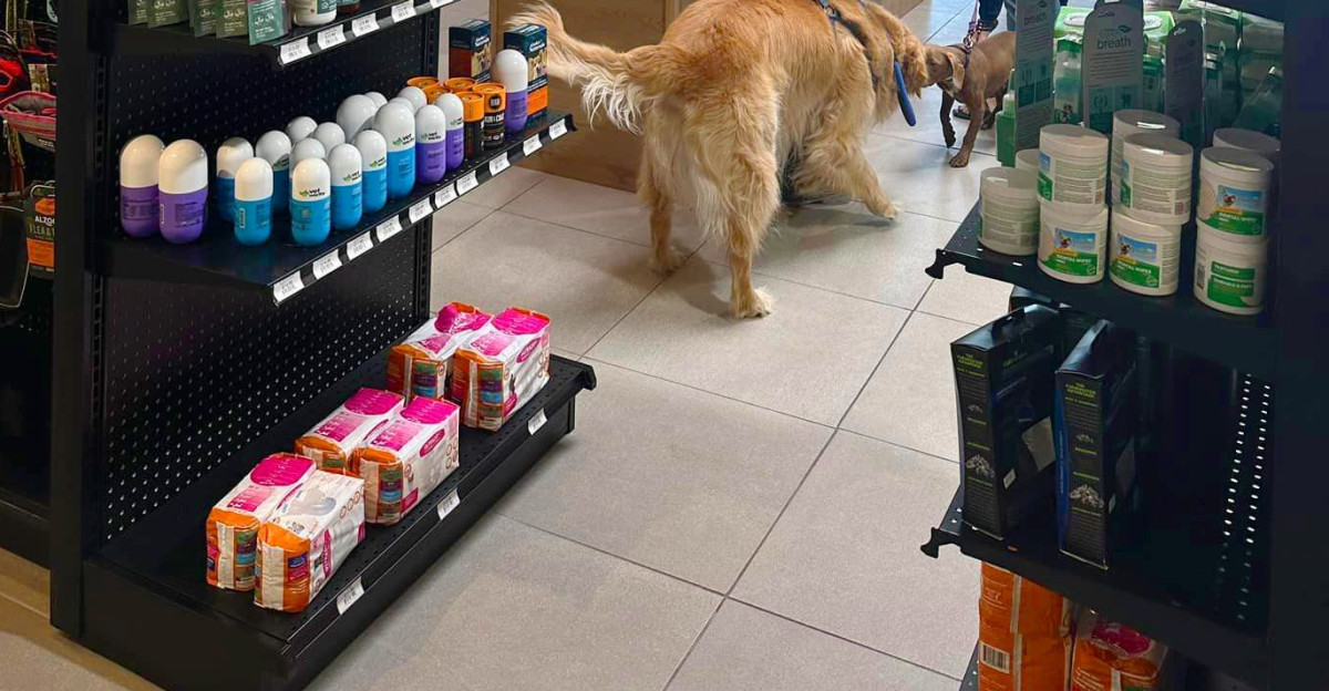 Check out some of our favorite pet stores featuring our products Such creative ways to display your pet s favorite treats retail retaildesign visualmerchandising wholesale storedesign interiordesign retailers sales OnlineDeals freeshipping deals interiordesignideas styling modernize petstore petshop dogtreats petstagram petsofinstagram by DGS Retail