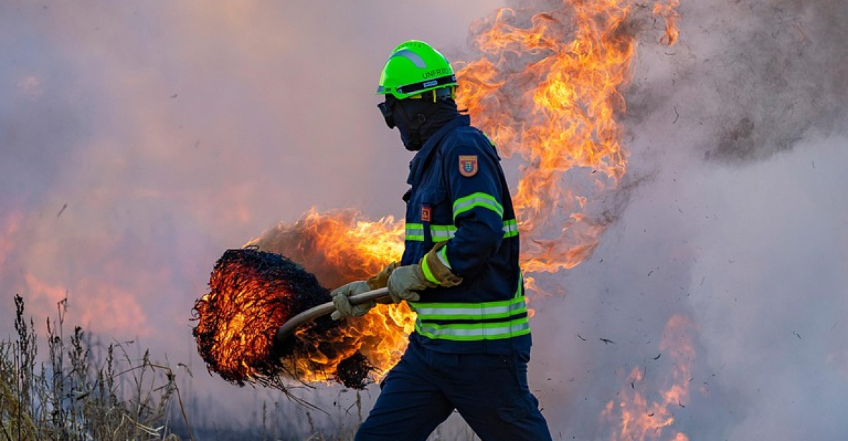fire, field, firefighter, firefighting, wildfire, bushfire, burning, smoke, meadow, nature, grass, catastrophe