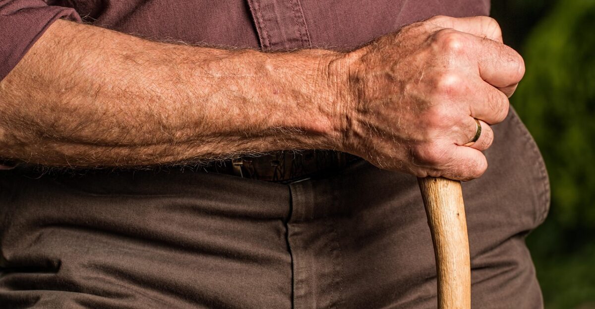 hand walking stick arm elderly old person cane retired retirement relaxed content senior pensioner elder grandparent outdoors aged walking stick arm arm arm arm elderly elderly cane retirement retirement senior senior elder elder elder elder elder