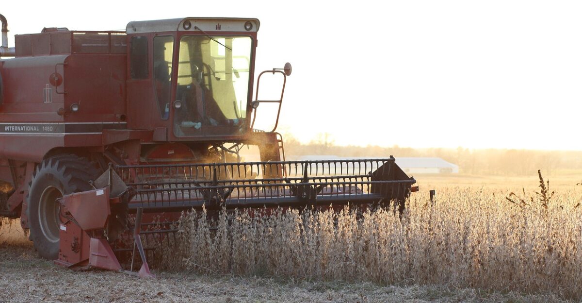 farm soybean harvest agriculture crop rural work equipment soybean soybean soybean soybean soybean