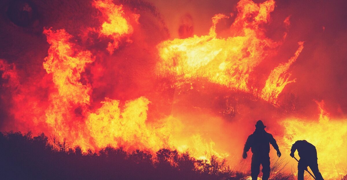 fire flames trees forest destruction people firefighters nature rescue