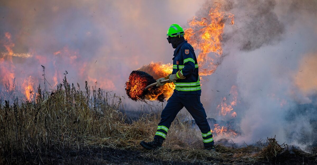 fire field firefighter firefighting wildfire bushfire burning smoke meadow nature grass catastrophe