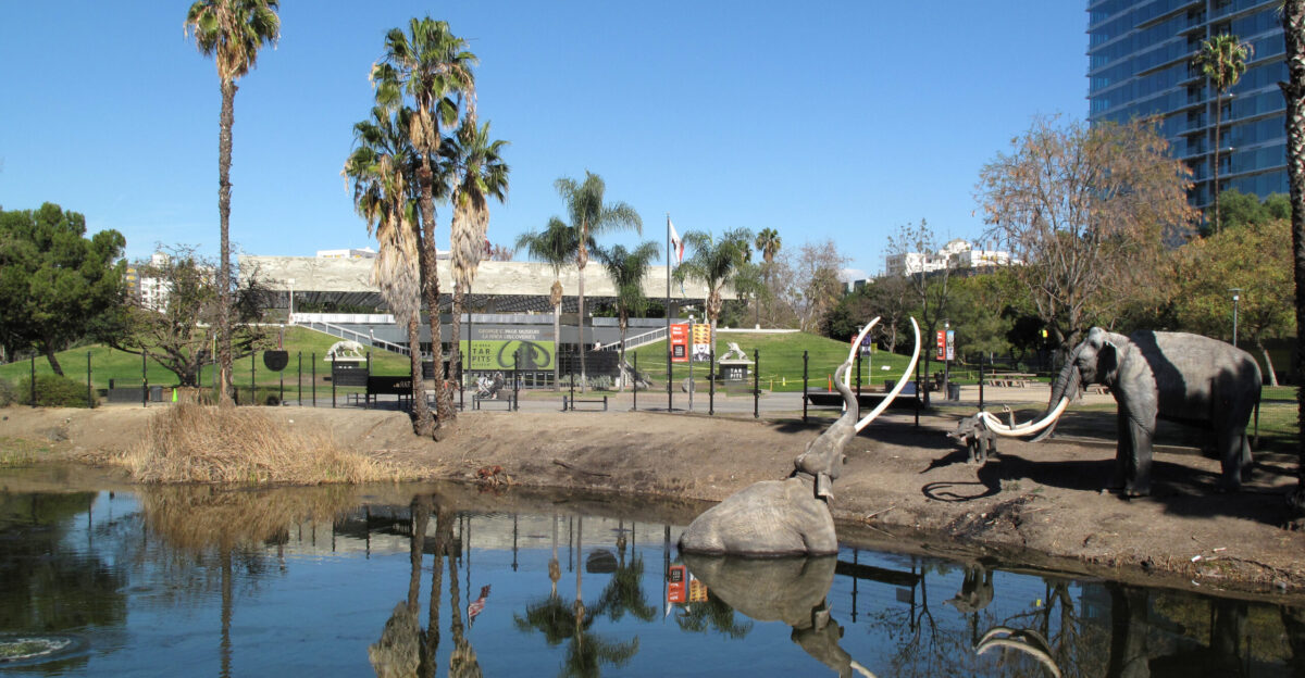 La Brea Tar Pits January 2021 Seen from Wilshire Blvd