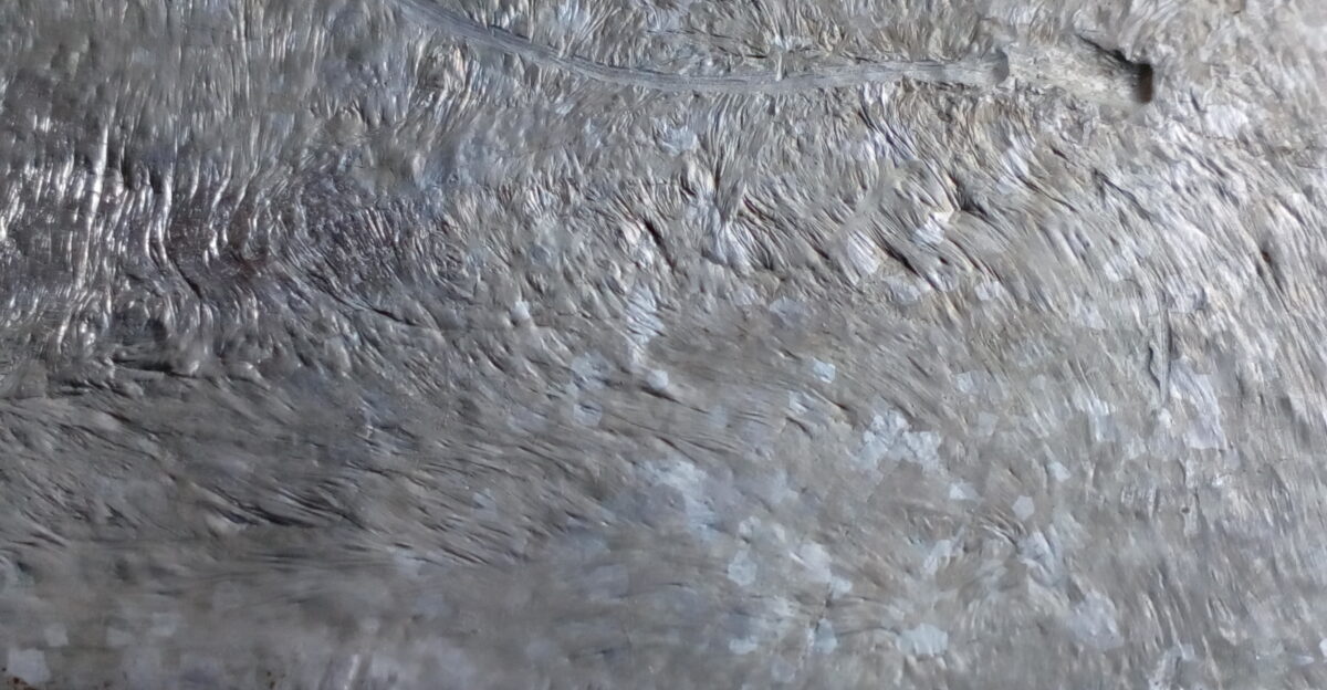 Acid-washing process in the production of magnesium ingots exposed magnesium s crystal structure