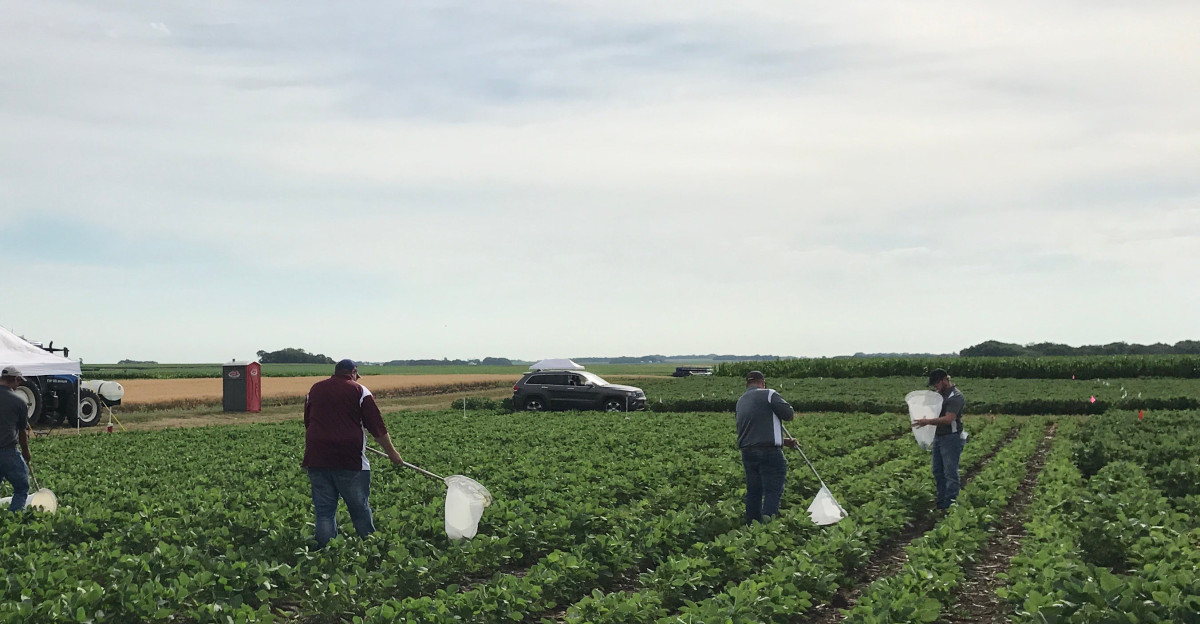 Search SDSU Extension