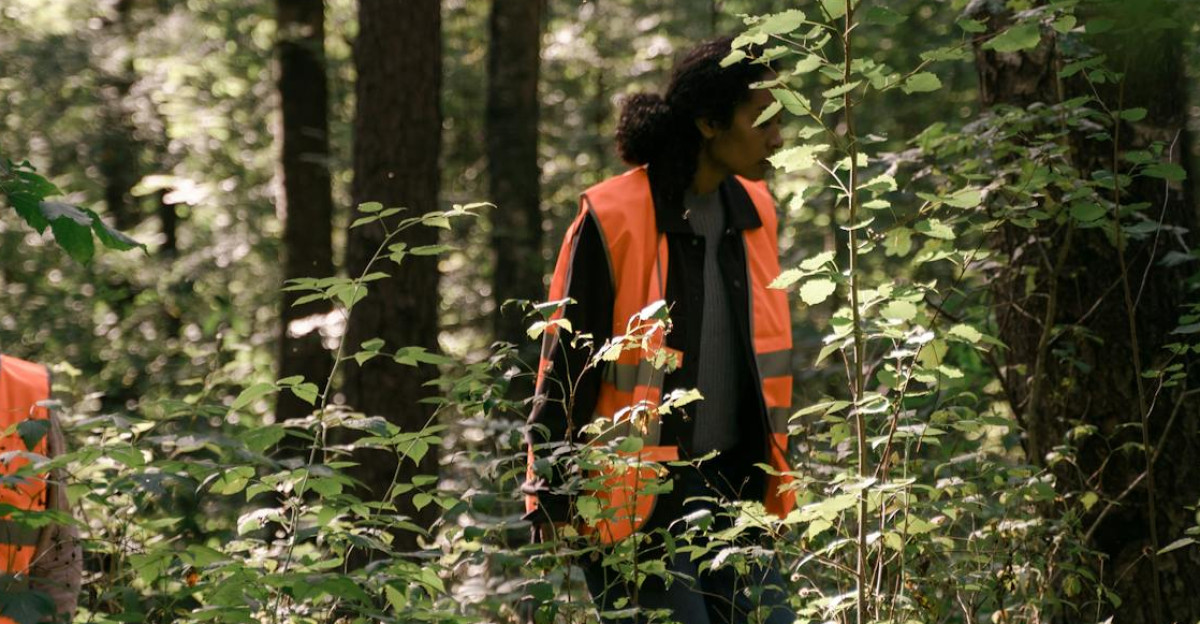 Two forestry workers in high-visibility vests surveying a lush dense forest during daytime