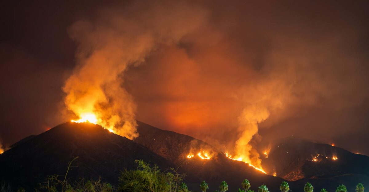 Intense wildfire scene at night in Redlands CA with palm trees silhouetted