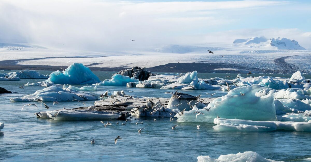 Scenic view of floating glaciers with seagulls over icy waters in Iceland depicting climate change and winter beauty