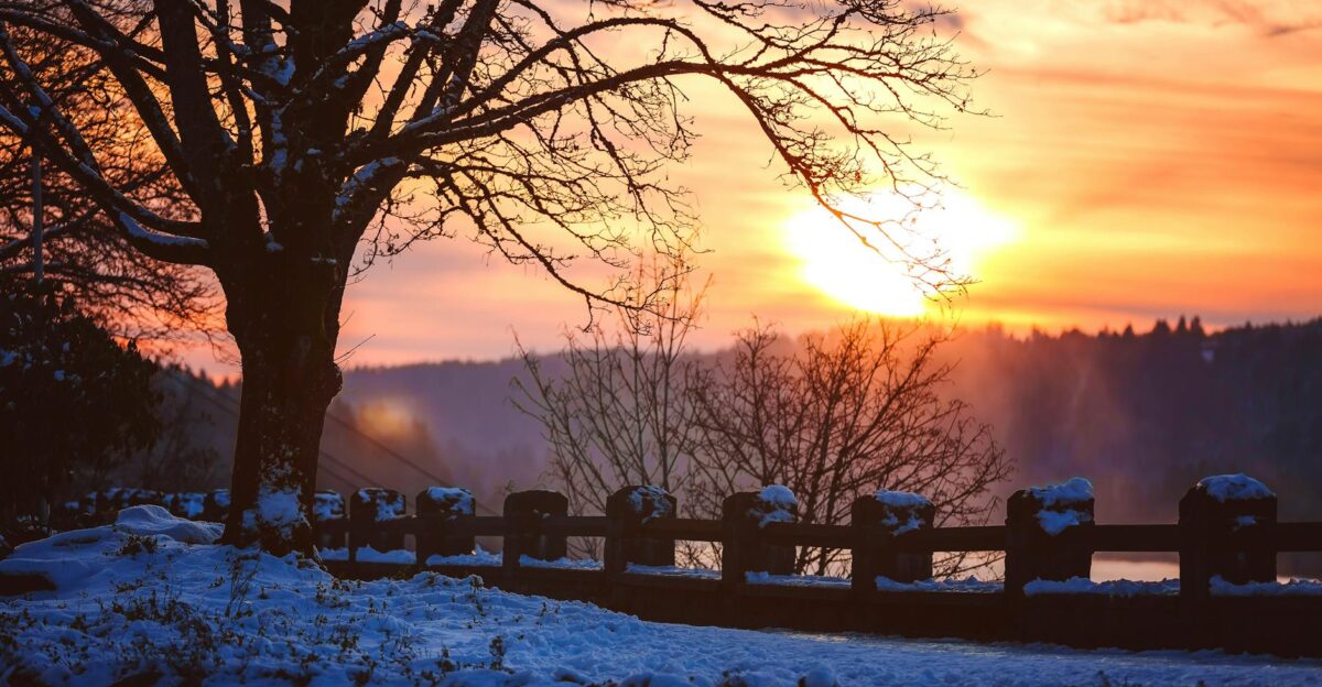 Captivating winter sunset with silhouetted trees in an Oregon park