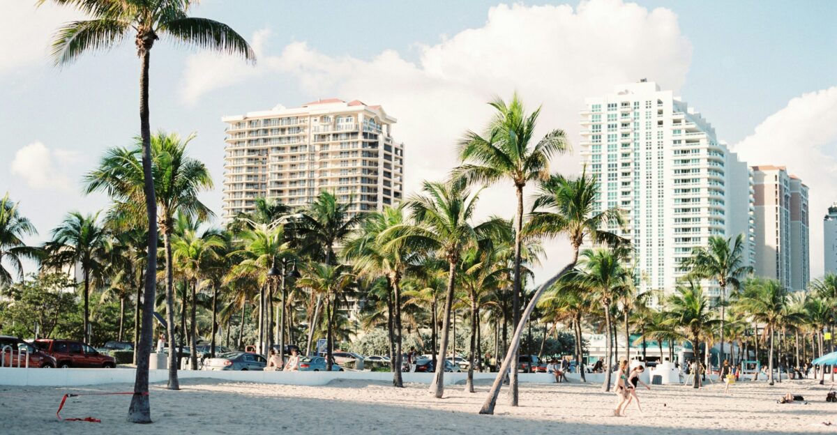 palm trees near buildings