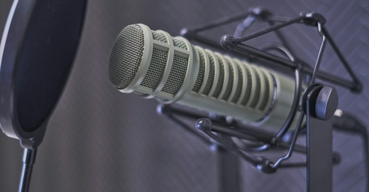 gray condenser microphone with pop filter