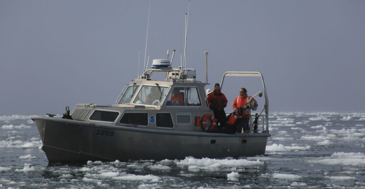white and blue boat on sea during daytime
