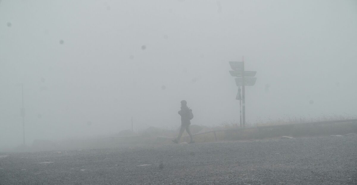 a person walking down a road in the fog