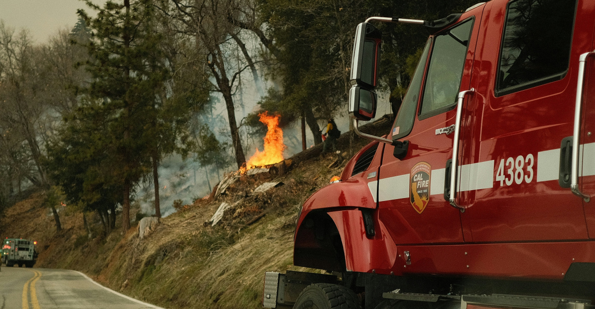 a red fire truck driving down a road next to a forest
