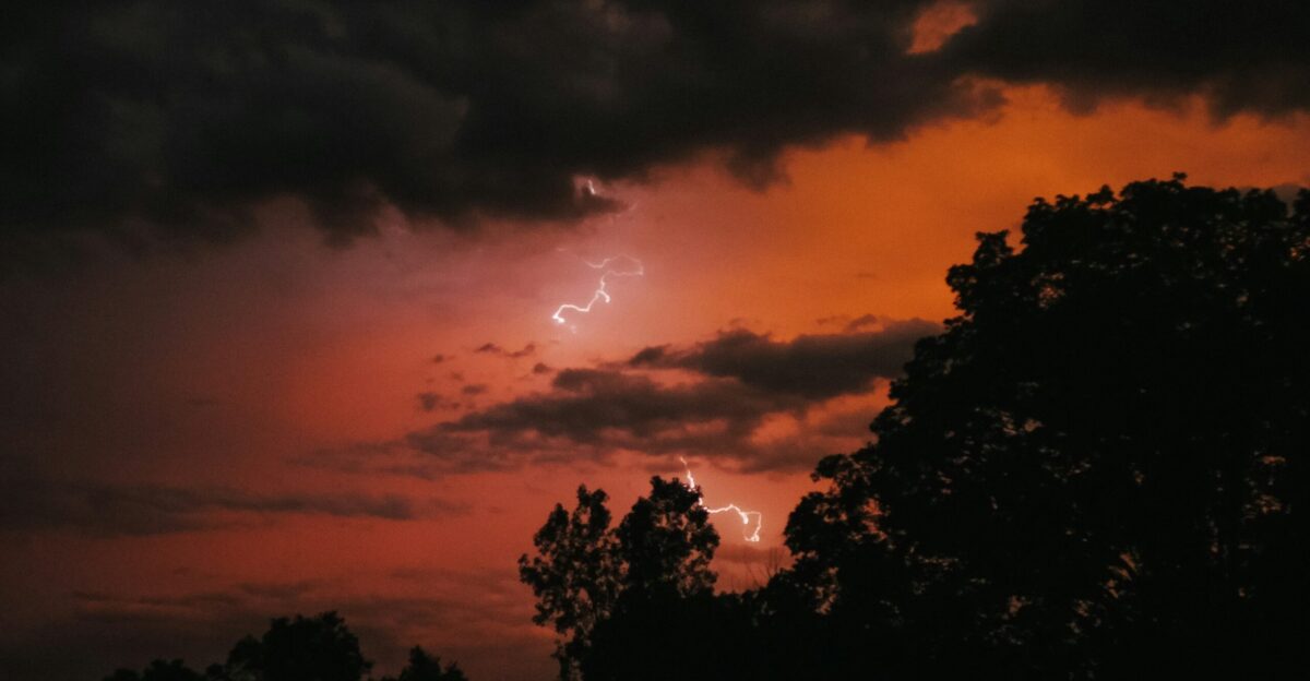 a tree in a dark cloudy sky