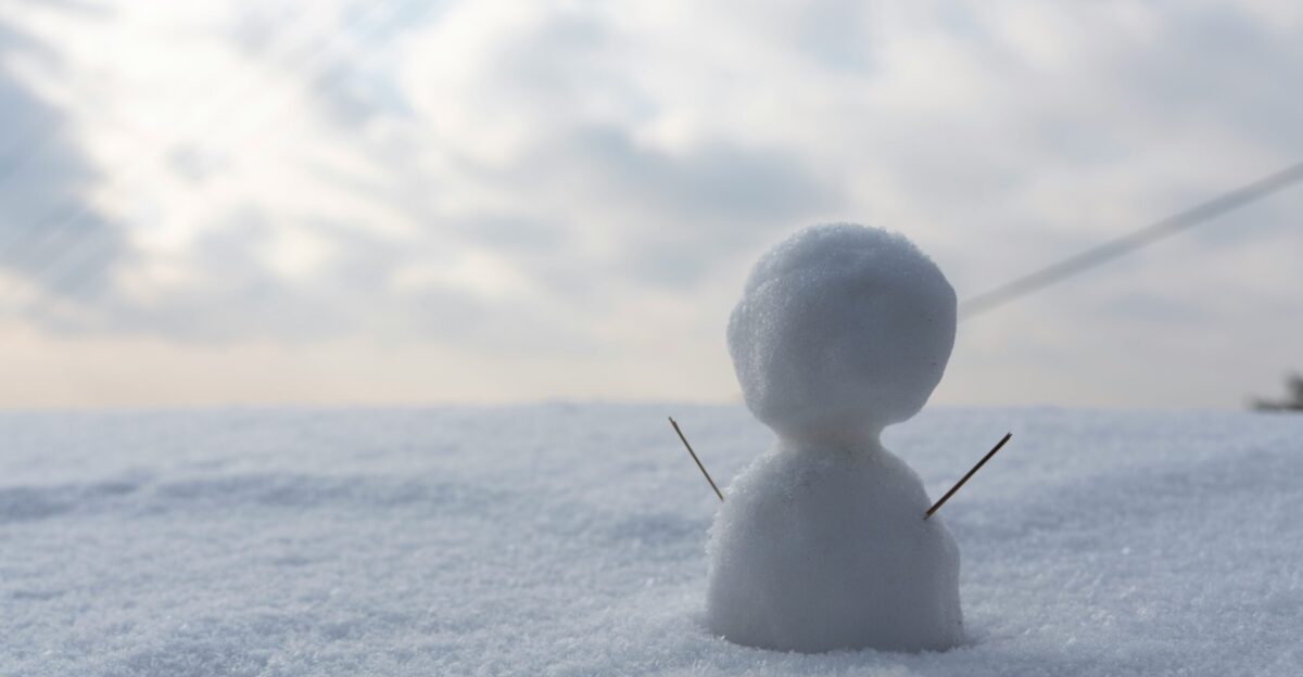 a snowman is standing in the middle of the snow