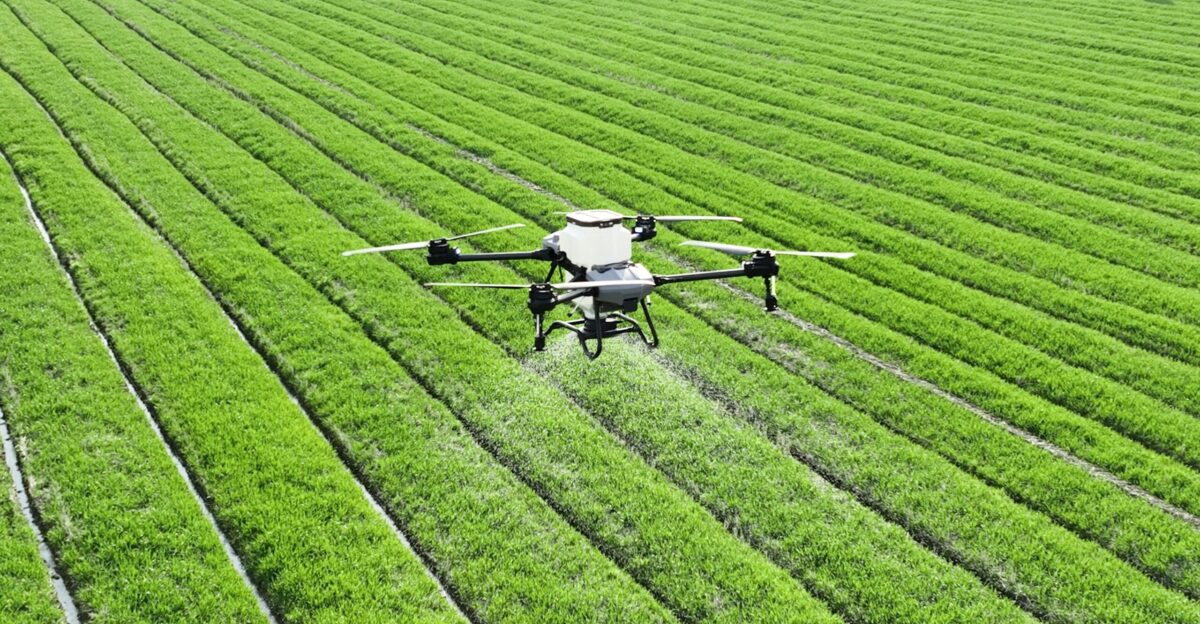 A large field of green grass with a small plane in the middle of it