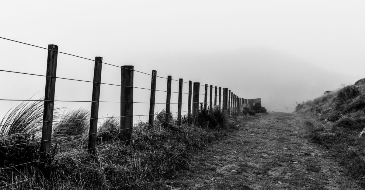 A fence lines a path through grassy terrain