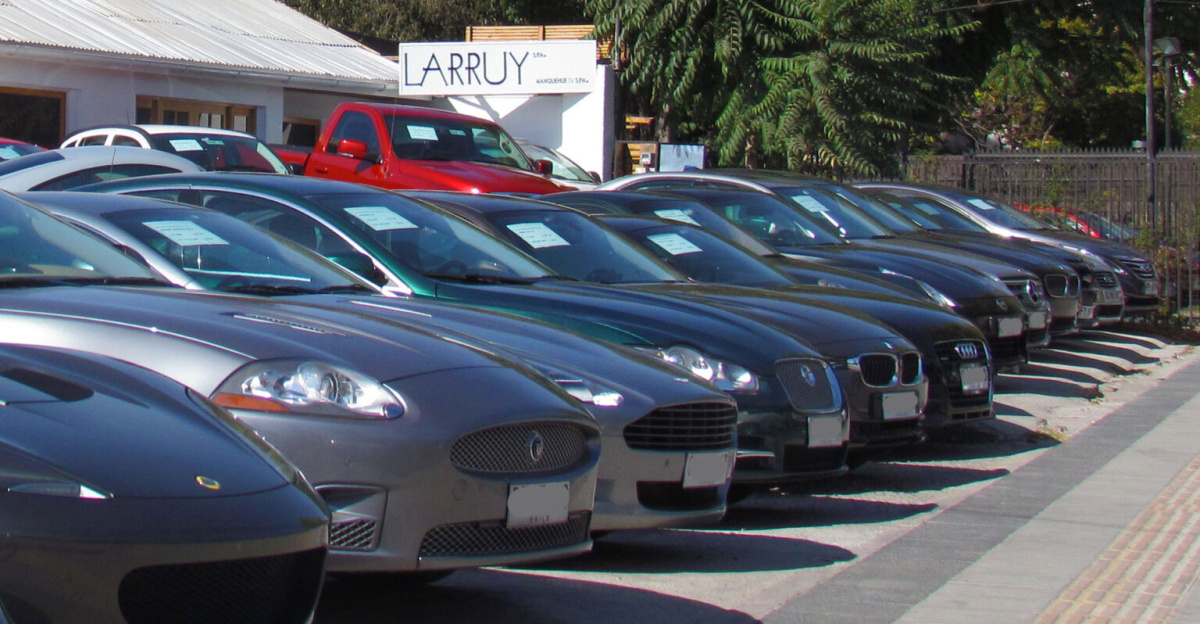 Used car dealer