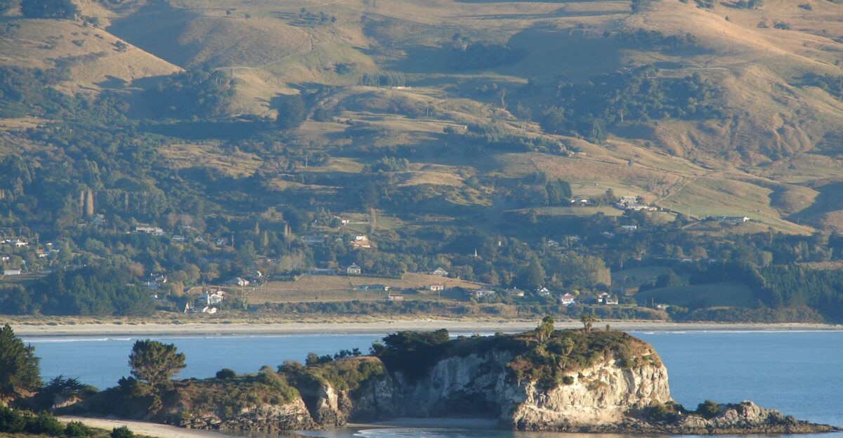 The New Zealand Railways Magazine Volume 13 Issue 11 1939 Mapoutahi Pa Goat Island Blueskin Bay The Massacre at Mapoutahi Pa The Story of a Southern Maori Inter-Tribal War Before The Coming of the Pakeha By R K McFarlane Legend and tradition have enriched the North Island of New Zealand with a wealth of knowledge concerning the history of the Maori before the advent of the white man On the other hand there is perhaps not so much tradition connected with the southern Maori which enables us to follows his doings before the pakeha came This is due chiefly to the fact that the Maoris colonised the southern part of New Zealand a long time after their first arrival and then only very sparsely on account of the more rigorous climate Then again it is on record that the southern Maori was several times almost exterminated by his overpowering northern brother Although little Maori history about Dunedin is known tradition has recorded for us two outstanding episodes Both are tragic-one a tragic romance on the coast near the Taieri the other a tragic massacre also on the coast about fifteen miles north of Dunedin It is the latter which I propose to relate From two sources only could I get information about this intensely interesting history The first was a brief account in a small hand-book entitled Dunedin and its Neighbourhood published in 1904-the other a newspaper article of 1929 regarding research carried out among the Maoris concerning Mapoutahi Pa The latter sums up very well the difficulties of acquiring information as the old Maori is passing on - There is much which remains to be told concerning the history of the Maori Race in Otago and with the passing of the years traditions as they relate to historic incidents are becoming more and more extinct however it is possible to trace the history of Mapoutahi Pa from the tradition handed down from generation to generation Soon after leaving Purakanui station the traveller by train northwards from Dunedin sees from his window as the train winds its way round the precipitous cliff face a green and picturesque little island almost completely surrounded by steep cliffs and lying close to the long stretch of white sand washed by rows of creamy breakers which is Purakanui Beach As the panorama unfolds it can be seen that this so-called island is really a small peninsula connected to the high cliff of the mainland by a small isthmus three or four feet wide and a few yards long On one side of this neck of land is a little golden half-moon beach while on the other side the sea rushes in with a turbulent swell threatening to undermine the narrow pathway On the slopes of the island itself long green grass sways in the sea breeze while the leaves of the numerous cabbage trees rustle continually as if mournfully trying to tell the story that exists beneath their roots There is nothing to suggest the tragedy of which it was once the scene yet these green slopes once ran red with blood and the yells of the victors and the vanquished could have been heard above the noise of the surf that laves its rocky base Goat Island it is called no doubt because its outline bears some resemblance to the head of a goat There in the 18th century stood a fortified pa-Mapoutahi Pa Some six or seven generations ago a chief named Taoka or Taonga lived with his people in a kaika near Timaru As was customary at times he set out with a small party to visit his cousin Te Wera of Ngatimamoe who had a large pa at Karitane Peninsula or Huriawa After enjoying Te Wera s hospitality for three days Taoka set out with his host who it might be mentioned was a man of very fiery temper he had killed his own wife-a princess of the Kaitahu to visit another relative Kapo in Mapoutahi Pa at Purakanui While staying here these two-Te Wera and Taoka-as relatives often do had a heated argument which developed into an open quarrel resulting unfortunately in Te Wera killing Taoka s son Taoka vowing vengeance returned to Timaru gathered all his fighting men about him and laid siege to Karitane Pa For twelve long months he waited but only once did any of his men gain entrance-several climbed up a blow-hole into the pa and stole Te Wera s god-stick Next day Te Wera saw them doing a haka and noticing the loss of his god-stick induced his tohunga to chant for its return whereupon it came flying back through the air to him Unable to sack the Karitane Pa whose massive entrenchments remain to-day Taoka went home but came back again the following winter and this time made to attack the Mapoutahi Pa whose chief Pakihaukea was a close ally of Te Wera After besieging the pa for ten days since both the invaders and defenders were wary Taoka thirsting for the blood of his foeman and seeing a snow storm approaching decided that the hour for revenge had come Snow fell for many hours That night with the snow eighteen inches deep and all the hillside quiet he sent out a scout to ascertain if the palisade were defended The scout returned to say that it was fully guarded Not satisfied Taoka himself crept silently to the palisade and discovered that the supposed guards were merely dummies hanging from the palisade and moving occasionally as the wind caught them The page 44 besieged natives in the pa had committed the same human error which many besieged peoples in European and ancient history had done They had thought themselves secure within their walls and had relaxed guard Taoka and his men silently scaled the palisade and cautiously arranged themselves among the whares Suddenly the blood-curdling war-cry of the invaders roused the sleeping natives and dazed by sleep as they stumbled from their whares they fell victims to the weapons of the enemy Altogether 250 were mercilessly slaughtered and only one or two escaped by rushing to the cliff edge and throwing themselves 60 feet or 70 feet into the sea As day dawned the rising sun revealed a ghastly sight The dusky bodies of the victims had been piled in a huge heap and covered in places with a mantle of snow they resembled a huge pile of wood So they named the place Purakanui meaning a large pile of wood That was about the year 1750 and to-day nearly 200 years later little evidence remains of that terrible massacre save the name of the district and the line of the trenches beneath the palisade in which human bones have been found Goat Island is now a scenic and historic reserve under the administration of the Otago University Museum where there is a model of the island and the pa To-day as the holiday maker wanders over its sunny slopes or fishes from its craggy rocks or shouts as he plays in the surf he does not think much of its tragic history-it would seem absurd But as night falls and the rising moon casts long dim shadows of the rustling cabbage trees across the grass it almost seems that one can hear sad cries above the moan of the surf Traditions and Legends Collected from the natives of Murihiku Southland New Zealand H Beattie Volume 25 1916 THE COASTAL WARFARE The Kai-Tahu who came down the coast distinguished themselves by fighting one another It is very difficult to straighten out the narrative of that warfare but here it is as well as I could disentangle it Taoka is often called Te Wera s uncle and then again they are termed cousins and sometimes brothers-in any case the ties of blood should have knit them together instead of which we find them usually at loggerheads and frequently fighting in deadly feud It has been mentioned before that there were two chiefs named Moki The first was the son of Tuahu-riri and has been mentioned already but the second Moki the son of Te Rua-hikihiki now comes into the story Te Rua-hikihiki married two sisters and by the elder one he had Te Matauira Moki and other sons and Uritoko a daughter and by the younger one he had a son Taoka This last named chief set out from Kaiapoi with the intention of vanquishing the Kati-Mamoe down the coast and he built pas at O-taoka in South Canterbury and at Katiki in North Otago and there we will leave him for the present Moki lived with the Kati-Mamoe people at Pukekura Otago Heads His child died and to pay for it as the narrator expressed it he sent out a small party under Kapo to kill someone as utu Te Wera and Patuki had a sister who had married Te Rehu who lived at Pu-rakau-nui and they were on a visit to her from their pa near Wai-koua-iti They were sitting in Te Rehu s whare one evening when Kapo stole up to the building and hurled a spear through the - 16 little window Te Rehu ducked and the spear struck and killed his father whose name the narrator could not recall Kapo s men surrounded the whare and waited for daylight It was a very dark night and Te Rehu burrowed under the wall and escaped with the intention of going to Wai-koua-iti for help Te Wera and Patuki would not run from a foe so they remained behind and Te Wera repeated a long karakia He got through the first half of it fluently but the second half was very halting Again he tried with the same result so they knew that one was to be killed and one escape Just before it was daylight they pulled back the door suddenly and made a dash for it Patuki who was in advance was killed but Te Wera had a marvellous escape and rushed to a waka-hunua double canoe and dodged under the platform and dived He kept under the water a long time and covered a good distance When he was safe across on the other shore he called out to the war-party to be alert to sleep with their wives and feed their children well for he was coming to avenge Patuki Te Wera made straight for Pa-katata on Huri-awa peninsula and found that Te Rehu had got there shortly before and the people were lamenting for Te Wera and Patuki In revenge for Patuki s death Te Wera sailed round into Otago Harbour and surprising some women getting whitau flax he slew them and cut off their heads The canoe then went under Pukekura pa and the heads were held up to the view of the inmates TAOKA VERSUS TE WERA Having thus squared accounts with the Pukekura people Te Wera desired to make peace with Moki and he asked Taoka to come and make the negotiations Taoka who was then at O-tipua in South Canterbury went to Pukekura and made a fairly lengthy visit there after which he canoed to Timaru and never went near Te Wera much to the latter s annoyance and disgust Te Wera went to make peace himself but his good intentions were not carried out While he was talking before Pukekura a man named Te Taoho amused himself by throwing small sticks at the visitors Te Aruhe the hot-headed son of Te Wera said We are not children to let sticks be thrown at us and started hostilities As soon as the struggle commenced Te Wera killed Kapo at once Te Taoho escaped and will be mentioned later on One of the few men who was saved of those at Pukekura was Moehuka He did not like the look of things when the visitors appeared and retired to the top of a hill near before the fight began recognising that discretion was the better part of valour The narrator could not say whether Moki was killed here or not During the slaughter of the people of the pa Te Wera saw a small boy named Taikawa and spared his life This Taikawa comes into the history later on After this killing Te Wera went back to Pa-katata for a - 17 while and then to Timaru to see Taoka but found that the latter was away at O-tipua Taoka s son Roko-marae-roa was at Timaru however and Te Wera killed him in retaliation for the trick Taoka had played on him He sent two chiefs whose names the narrator had forgotten to tell Taoka that he had killed his son He thought that Taoka would kill these two men of rank to equalise the killing of his son Taoka was not at home when the two chiefs called so they gave Taoka s wives the message and set out back to Te Wera Night overtaking them they camped on the beach When Taoka returned to his home towards evening and was told the news he was very wrathful and set out in pursuit of the messengers but he missed them in the darkness and they got back safely to Te Wera who with his men withdrew to the strong fortress at Pa-katata A MEMORABLE SIEGE After the slaying of his son Taoka gathered together his forces and besieged Te Wera in the strongly-fortified pa on the Huri-awa peninsula near Karitane and Puke-tiraki Te Wera had been preparing for such a contingency as he had laid in a great stock of preserved birds fern-root and dried fish etc and there was a small but permanent spring in the pa to supply water The story of the siege has been told in print before so I will not serve it up again Suffice is it to say that Taoka s taua besieged the pa for six months and then had to relinquish it owing to the scarcity of food This had been their difficulty all along but by scouring the country they managed to keep their leaguer for half a year and then had to return home Some time after this Te Wera and a companion chief whose name my narrator unfortunately forgot and which I have never seen in print determined to sail for Raki-ura They set out in their canoes but a storm arose which Te Wera by means of his karakia was able to overcome and continue his course but the other chief was driven into the bay under the cliff called Tau-o-Tarawhata He determined to go no further and constructed a pa called Mapou-tahi on the small peninsula called Goat Island Soon after Taoka came down like the wolf on the fold and besieged it The season was winter and one wild night Taoka sent his men to see if the palisade was guarded They reported that it was and Taoka was so surprised that he went to see for himself and by careful reconnoitring discovered that the supposed sentries were dummies swinging in the wind His men quietly got into the pa and slaughtered all the inmates except one man who jumped into the sea and escaped Next day the bodies of the slain were piled up like a large heap of wood and since then that bay has been known as Pu-rakau-nui Lore and History of the South Island Maori by W A Taylor 1952 Leaving Old Waikouaiti or modern Karitane we pass south Okai hau is the outlet to the sea of the Omimi Greek The full name of the site of the Omimi railway station is Te Mimi e te haki The location of the Seacliff Mental Hospital is Turau aruhe Waikoko is the Seacliff Creek Potaerua represents the bush at Seacliff and the bight on the coastline towards Omimi is Rau-one Warrington the aristocratic weekend resort bears the name of a famous greenstone weapon Aka hau Whaitiri-paku was the name of an old native village at what we now call Evansdale The Evansdale Stream below its Kilmog branch was an eeling place called Wai moi sour water The streams entering Blueskin Bay travelling south were the Totara Waiputi and Waitete the latter erroneously spelt Waitati Waitete means bubbling water and no one who has lived alongside its course would question the translation as being truly descriptive The Orokonui Stream drains the northern slopes of Mount Mopariui entering the mouth of the Waitete not far away from the Orokonui Mental Hospital Blueskin was the name of Waitete in the early days The early settlers named it such after a well-tattooed Maori called Te Hikututu whose nickname was Blueskin A Ngai Tahu chief named Tutakahikura visiting Southland coveted the wives of a Ngati Mamoe chief named Tutemakeho when the latter chief was away foraging and abducted the women A chase from Southland resulted and Tutemakeho fortunately caught up with the abductor at Pae Kohu place of frogs or Green Hill on the divide between the Silverstream and the coastal valleys It was decided by the warriors to fight the matter out in gladiator fashion at Waitete Tu te makaho won back his wives taking them back to Otaupiri A leaderless hapu of the Ngai Tahu returned to Canterbury Approximately 12 miles from Dunedin is Purakaunui page 120wrongly spelt Purakanui which boasts a large native reserve and its native inhabitants who originally hailed from Kaiapoi are proud of the fact that they are descendants of Ngai Tahu who were there long before the fall of Kaiapohia and are not begotten of refugee stock Away back about the year 1750A D the War God Tu controlled the lives of the inhabitants of Purakaunui Three cousins of chief rank but with no trace of family affection kept the Ngai Tahu Tribe in almost an unbroken state of strife Their names were Moki II Taoka and Te Wera Te Wera of Huriawa Pa at Old Waikouaiti dwelt for a time at Pukekura Pa at Otakou Heads When there the paramount chief Tu ki taha rangi died also Moki II s son Te Wera was accused of practising makutu wizardry on his kinsfolk and killing them Te Wera fled away to Purakaunui where Te Rehu his sister s husband held sway Moki II was not to be outmatched so he sent a surprise war party to Purakaunui kainga under the chief Kapo The house of the chiefs was surrounded and most of the inmates slain including a chief named Patuki Te Rehu and Te Wera made a miraculous escape indeed a wailing for their decease had commenced at Huriawa when they arrived Safe back in his fortress Te Wera waited and gathered together his warriors He then set out for Pukekura on which he exacted full vengeance Taoka took up the Pukekura cause and besieged Te Wera at Huriawa He failed to capture that pa so he turned his attention later to Mapou tahi on Goat Island Peninsula where the railway skirts the Blueskin Cliffs near the tunnel When Taoha arrived at Mapoutahi in mid-winter his scouts found the narrow neck of land which gave access to the pa well guarded One exceptionally wild night however the sentries were withdrawn and dummies put in their place The ruse worked until Taoka went forth and did scouting for himself He discovered the true position and Mapou tohi Pa was stormed Only a few persons escaped by swimming and scaling the vine ladders on the Blueskin Cliffs which had been used for bird nesting The name for Goat Island is Mata awhe awhe dead gathered in a heap and its isthmus is called after Pakihaukea its unfortunate defender The portion of the Blueskin Cliffs nearest to Waitati is Wata awa awa edge of the valley The bay east of the peninsula is Paua nui large ear shell fish On October 22nd 1930 Goat Island Peninsula area 4 acres was vested as a scenic reserve under the control of the Otago University Why the Maori people were not favoured with possession is not clear Near Mapou tahi the canoe of Waiti named Tau a Tara-whata was wrecked a few centuries ago Mihiwaka lament for a canoe is the hill which separates the Purakaunui Valley page break Otakou Mrs Mere Harper-Old Waikouaiti page 121 from Otago Harbour Aorangi light of heaven is the hill across Purakaunui Bay near the site of the old whaling station Opeke is the foot of Foote s Greek Ko te wai a pukuraku is a small watercourse near the sand drift to the railway line Haereoa Teoti Wahie and Noah were the leading men at Purakaunui in the forties The present native inhabitants of the reserve are half-castes being descendants of the old whalers The Purakaunui Reserve was set aside in pursuance of the infamous Kemp Deed Near Purakaunui is Long Beach known as Whare wera wera which contains a native reserve of a few hundred acres The original trustees of this poor quality reserve were Tamati Tiko Te Ati Poroki Hipa Porekaha Riki Tuete and Haereroa The land is of sandy nature with however miniature lagoons through which a very wandering stream passes and in the days when the Piorakaunui district once held a large native population provided good eeling places There is no doubt that the Maoris living between Purakaunui and Otago Heads suffered severely from European diseases during the period sealing ships were frequenting the coast The cold-water treatment by the tohungas of influenza and measles could only result in one way-death South of Longbeach is Murdering Beach which should be known by its Maori name of Whare ake ake On December 24th 1817 a Tasmanian brig named the Sophia commanded by Captain Kelly anchored there to trade with the Maoris However a man named Tucker was recognised as a person who at Riverton traded in dried Maori heads Such sacrilege quite rightly brought down on the pakahas the anger of the Maoris Tucker fell to the blow of a mere wielded by Te Matahaere as did two or three others The remaining boatsmen returned to the ship for reinforcements and in the skirmish the Maoris were defeated and prisoners taken back to the Sophia including the chief Korako a progenitor of the Taiaroa family The Maoris rallied under the chief Tukarekare and in canoes attacked the ship but without success Korako rejoined his friends by jumping overboard to the canoes The Europeans then killed their other prisoners and sailed away to Otakou Heads where they destroyed the native village The bay south of Whare ake ake is called Kaikai after a Ngati Mamoe man dwelling there in a cave in the early days The proper name is Takeratawhai The cave belonging to Kaikai is now used as a sheep pen A heavy tapu rested on Murdering Beach until it was lifted by a North Island tohunga at the request of the Purakaunui Maoris The three bays south of Purakaunui have been the happy hunting-grounds of curio collectors alas many not venerating the burial-places It has been estimated that 3 tons of worked greenstone has been page 122recovered In 1912 a large part of this collection passed to British and American museums In 1926 a curious adze hogbacked with a very narrow cutting edge was found Mr Washbourne Hunter was the land owner in the early days and during his time 400 curios were discovered Two dozen greenstone tikis have been found at Whare ake ake The late Mr Murray Thomson who had a weekend house at Murdering Beach was an enthusiastic collector and he assisted greatly the archaeological section of the Otago Institute during a fortnight of March 1935 in cross trenching digging and searching every nook and corner of Kaikai Murdering and Longbeach and the chance of finding a good cache of curios is now very remote Though a green-stone workers factory the meres found have invariably been executed in slaty stone When Edward Shortland visited Purakaunui in October 1843 the Maori population had dwindled to 32 persons Pukai-a-te-ao and Kaitipu of the Huirapa hapu had succeeded Urukino in the leadership When Mantell made his census of Purakaunui in connection with the sale of the Ngai Tahu Block the inhabitants numbered 46 The majority of the people belonged to the Ngai tuna hapu The Huirapa hapu mostly females counted 8 and the Ngati Tuahuriri 2 persons The few Maoris who now occupy Purakaunui are half-caste descendants of whalers The settlement is now a popular Dunedin weekend resort The little fenced-in cemetery on the Purakaunui Spit alone reminds the visitor of the Maori backgroundOld Waikouaiti and Purakaunui are usually by-passed by motorists journeying to Dunedin who travel on the Main Road The Main Road from modern Waikouaiti to Waitati crosses over the well-known Kilmog Hill Kilmog being a corruption of the Maori name of the plant Kirimoko known to botanists as Septospermum ericoides which grows profusely in the locality Otago Daily Times 29 December 2011 Rakau is the Maori word for stick and pu-rakau-nui means big pile of wood or sticks About 1750 a massacre happened at Mapoutahi a fortified pa on the headland near what is now Purakaunui Two Kai Tahu cousins had the mother of all scraps at the pa which resulted in one cousin killing the other cousin s son The grieving father waited 12 months to exact his revenge He gathered a war party and attacked the pa for 10 days That night with snow lying deep on the ground his warriors broke through Dazed from sleep 250 villagers were killed Only a few were able to survive by jumping from the cliffs into the sea Dawn revealed a ghastly sight the villagers bodies had been piled into a huge heap The brown shapes covered in places with a mantle of snow resembled a wood pile and the survivors named the place Purakaunui Below Kiwi Adventures a href rel noreferrer nofollow adventure nunn nz about a This narrow headland was once the strategic location of a pa that was the scene of the last dreadful act in a feud that tore through the pre-European Maori community of the Dunedin area It began sometime in the mid-1700s when a leader named Taoka failed to make an expected visit to his cousin Te Wera who took this as an insult In response he took a war party to the Waitaki River and slew Taoka s son He sent two minor chiefs to bear the news to Taoka perhaps hoping that he would slay the messengers and no further utu would be forthcoming However Taoka was away when the messengers arrived so they passed the news on to his wives and beat a hasty retreat likely thanking their lucky stars The outraged Taoka laid siege to Te Wera s fortified pa at Huriawa which we will no doubt visit in future but Te Wera had prepared for the attack by stockpiling preserved food and fresh water could be obtained from a spring on the highly defensible Karitane peninsula Eventually Taoka was unable to feed his war party and forced to leave Te Wera quickly took the opportunity to leave for Stewart Island But Taoka still needed to settle the score so he turned his sights on Te Wera s ally Te Pakihaukea who chose to make his stand here at Mapoutahi perching his pa atop cliffs that could only be accessed via a narrow strip of land Back in his time the water was deeper around the isthmus making it an even more secure position than it appears today Taoka laid siege but could not breach the fortress Then one winter night he sent a scout to check the defences and discovered that dummies had been set up in place of the usual sentries The vengeful chief seized this opportunity broached the pa and slaughtered the inhabitants It is said that only one man escaped by diving into the ocean Once the massacre was over the bodies were left piled up like a large heap of wood which is the translation for the name of the bay - Purakaunui