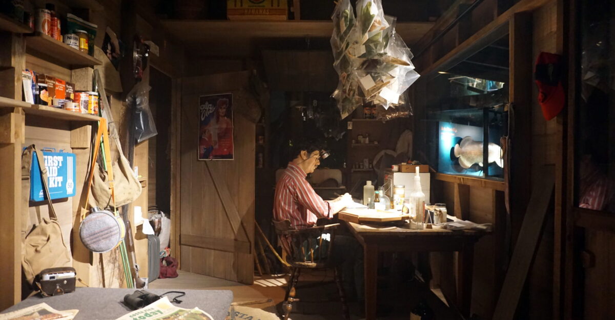 The Today s Scientist In the Field diorama in the Rainforest exhibit at the Milwaukee Public Museum in Milwaukee Wisconsin United States