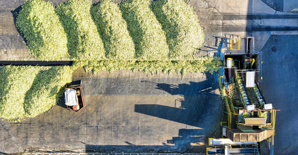 Aerial view of industrial corn processing with machinery in Plainview Minnesota