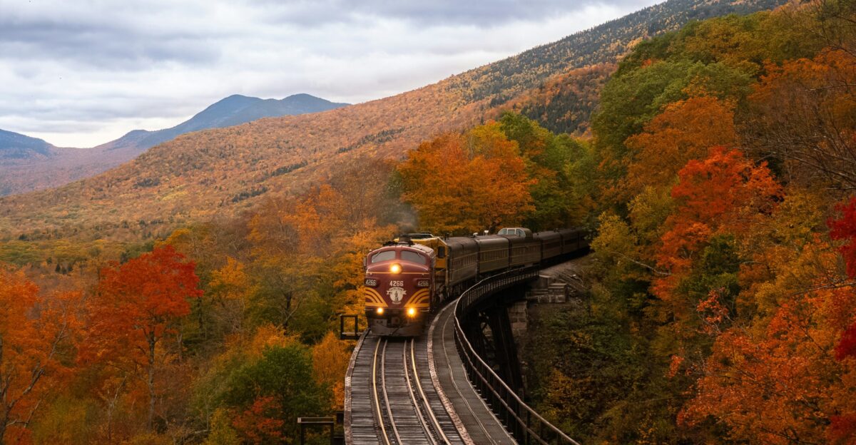 orange train between fall trees