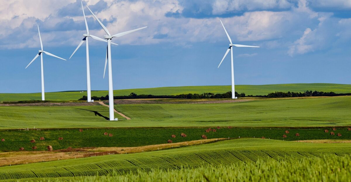 white windmill