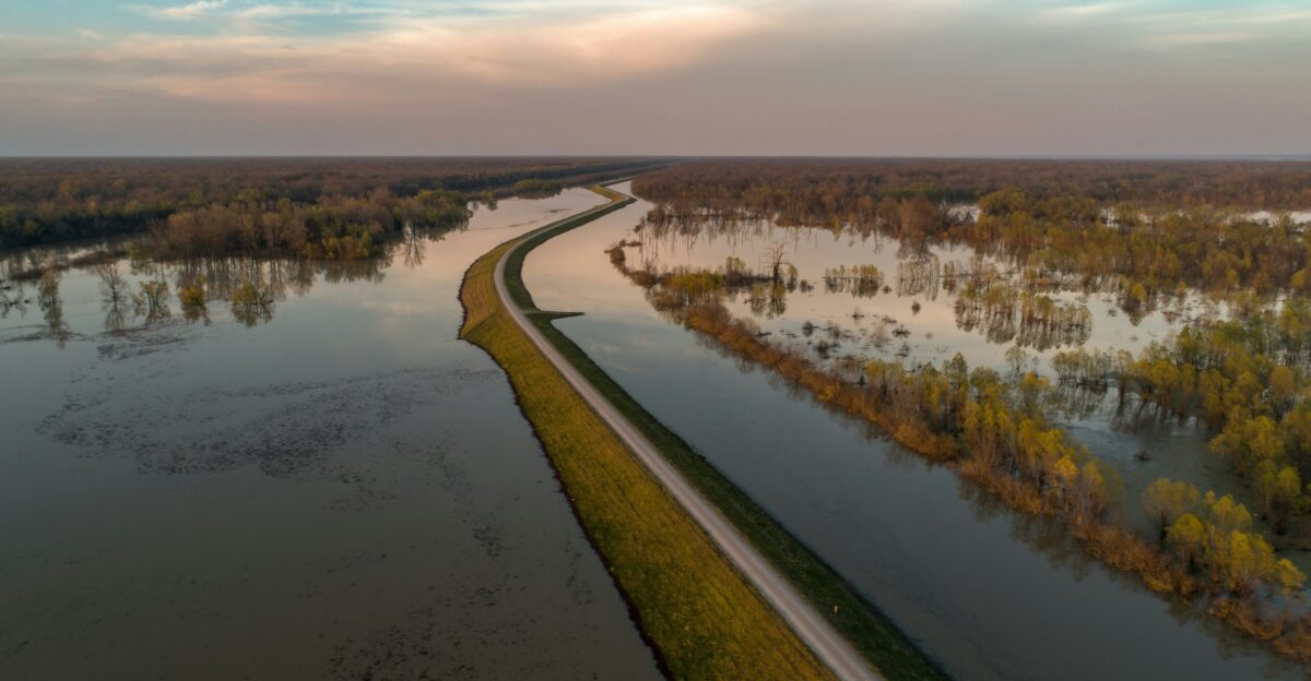 bird s eye view of river