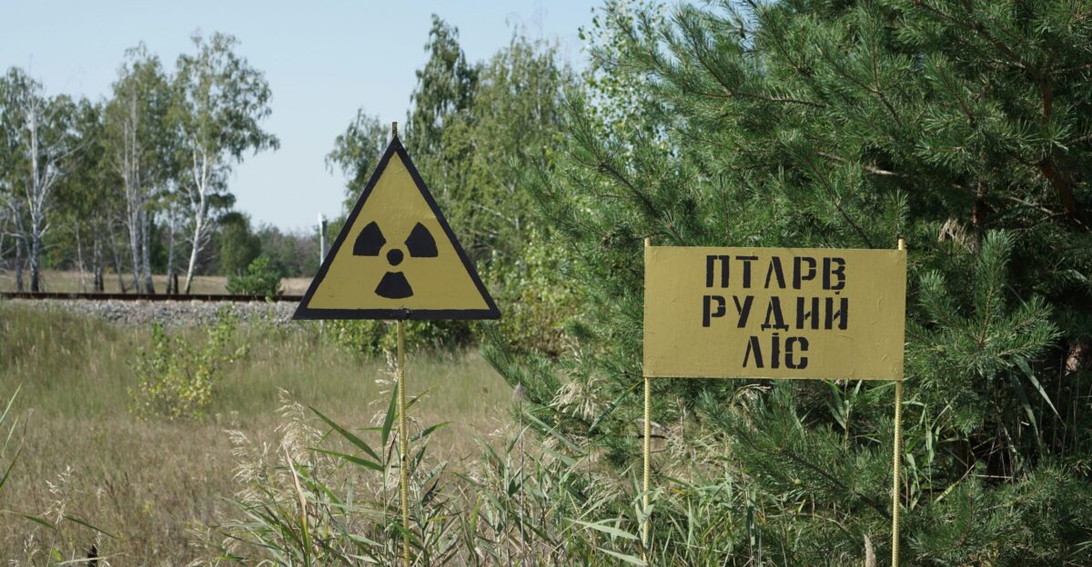 yellow and black road sign