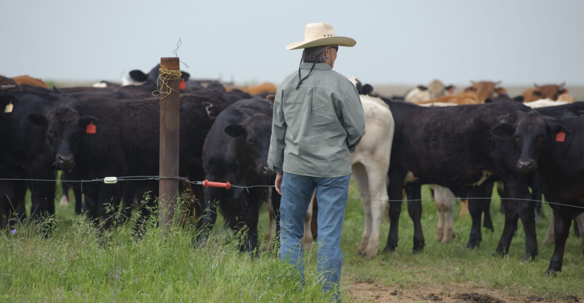 This image or file is a work of a United States Department of Agriculture employee taken or made as part of that person s official duties As a work of the U S federal government the image is in the public domain