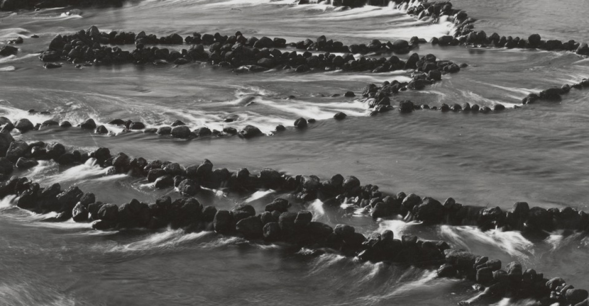 Description of original photograph : gelatin silver ; 16.1 x 21.0 cm.
<p>Inscribed on verso: [Printed on] 24-1-1938.
</p>
This work is out of copyright