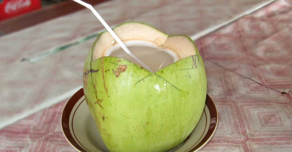 A coconut split open to drink in Pangandaran