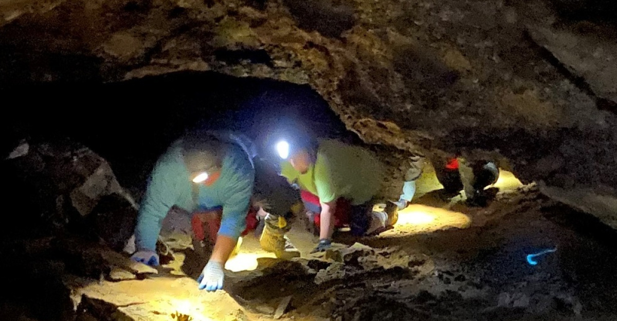 <p>People crawl on their hands and knees through the dirt in a small rocky cave passageway.</p>
<p>Fossil research teams must crawl, climb, and hike for several miles to reach some areas of the cave that contain fossil specimens.</p>
<ul><li>Keywords: Research; Paleontological Resources Inventory; Fossil; Shark Fossil; National Park Service Paleontology Program; Paleontology; Mammoth Cave National Park; Mammoth Cave</li></ul>