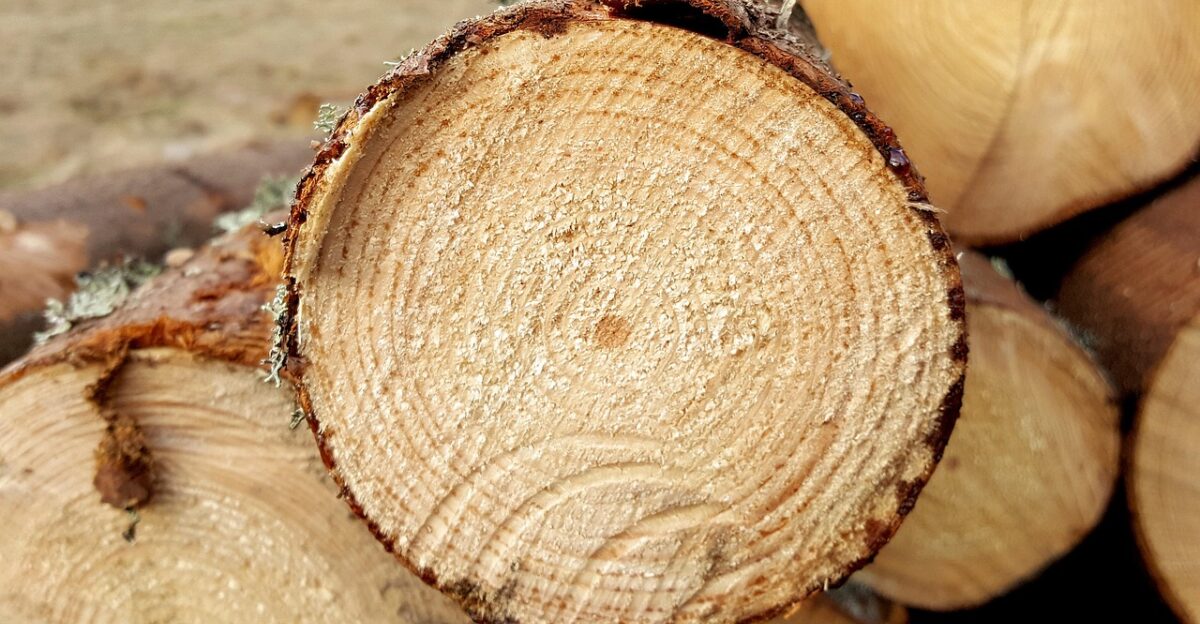 logs sawn wood industry wood stockar sawmill sawmill sawmill sawmill sawmill sawmill