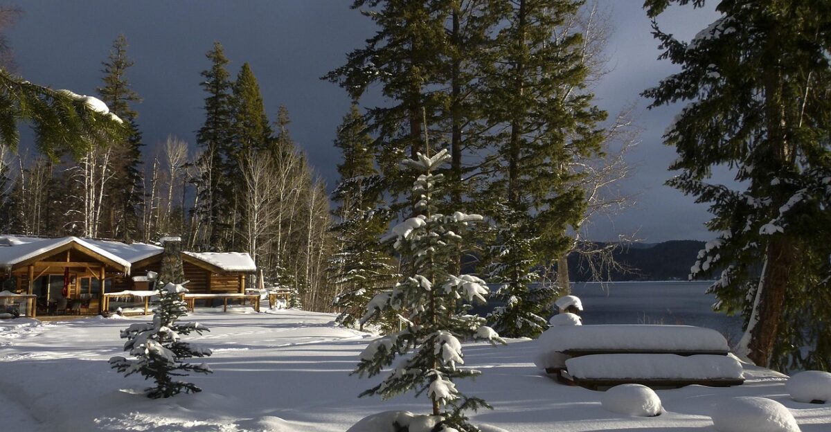 winter scenery canim lake british columbia nature canada snow weather mood sunny day cold landscape trees wintry winter dream snow magic frosty icy outside scenic lake log home building