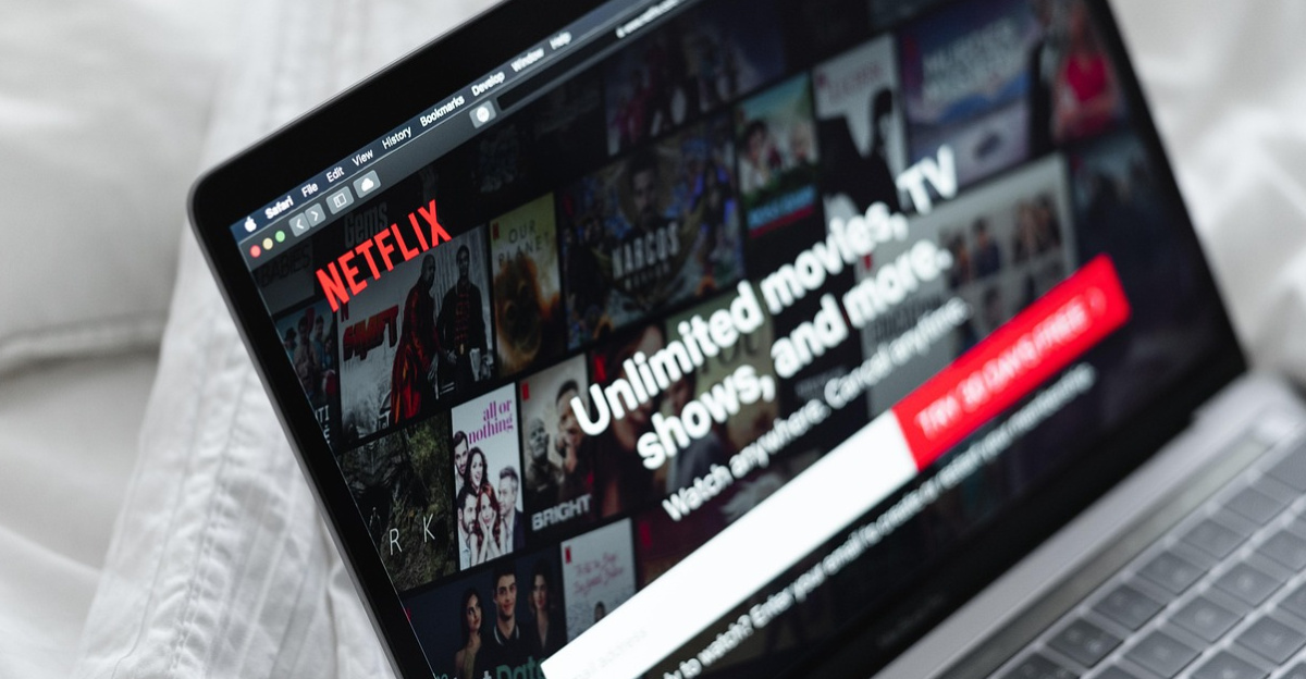 laptop, netflix, entertainment, technology, movies, watch, leisure, screen, shows, fun, netflix, netflix, netflix, netflix, netflix